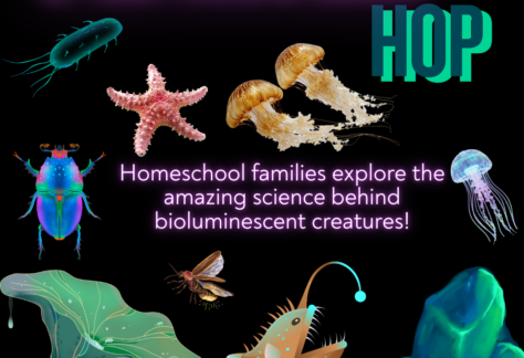 Black background with glowing images of rock, angler fish, bugs, jellyfish, starfish, and plants. Text says, "Homeschool Hop. Homeschool families explore the amazing science behind bioluminescent creatures. January 12th, 2PM."